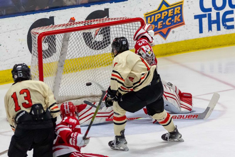 Connor Arko (19) of Houghton scores another third-period goal on Thomas Reeber (34) of Orchard Lake St Mary's.
