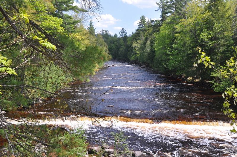 Environmental groups are alarmed by a U.S. Forest Service vegetation management project in the western Upper Peninsula's Ottawa National Forest, where logging would take place near the Sturgeon River Gorge Wilderness Area.