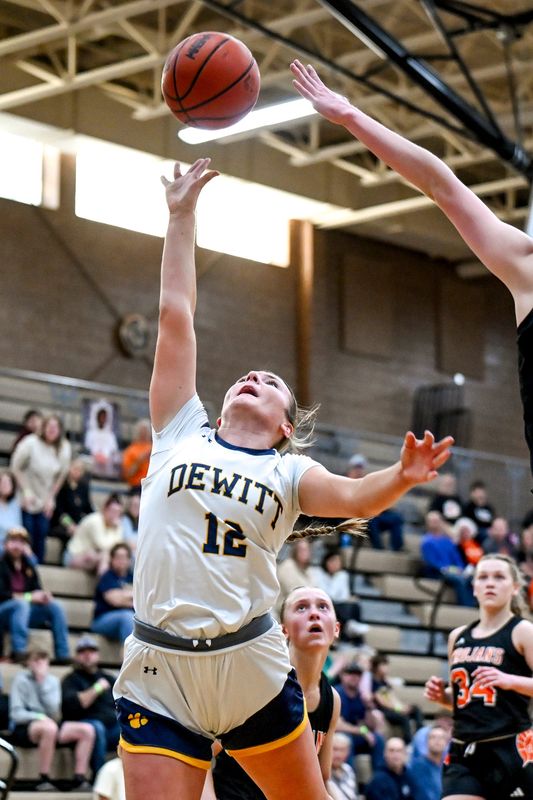 DeWitt's Carly Dennis scores and draws a Sturgis foul during the fourth quarter on Monday, March 9, 2026, at Holt High School.