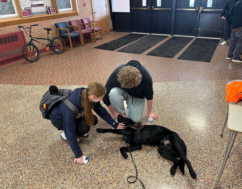 Students pet Duke, the therapy dog for Union City High School, at the school on Thursday. Duke has been supporting the community in the wake on a tornado that struck Branch County last week.