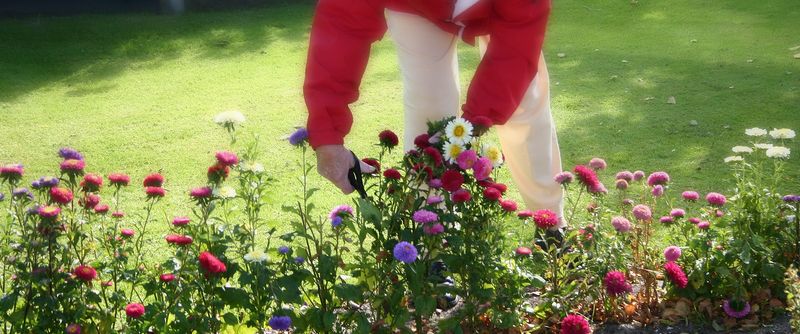 Make the most out of your spring gardening by coming up with a fool-proof gardening plan. (Dreamstime/TNS)