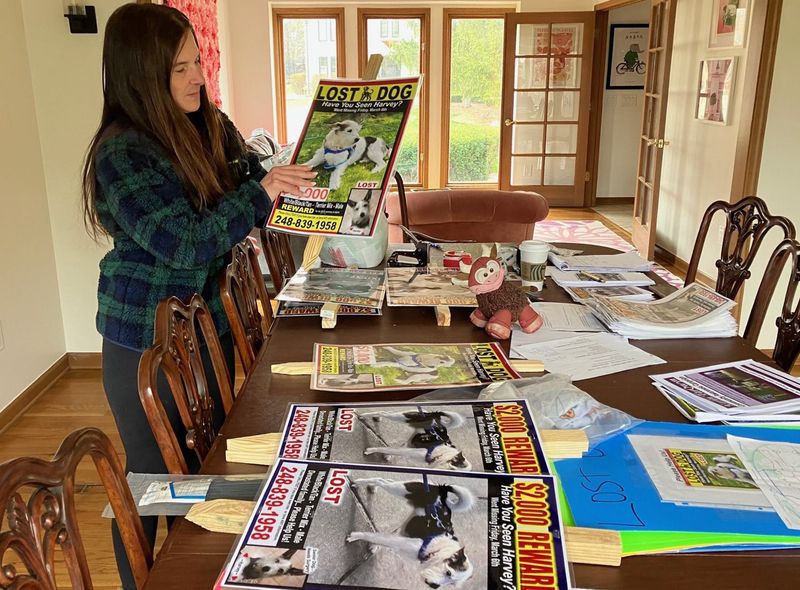 With a budget as big as they need it to be, the Murphy family has purchased posters, placards, flyers and assorted other materials as it tries to track down Harvey, a 10-year-old terrier who’s been missing since March 6. They have also paid for drone searches and a pet-focused private eye who drove to Bloomfield Hills from Nebraska. The stuffed animal on the table is Harvey’s favorite toy, Mr. Moose.