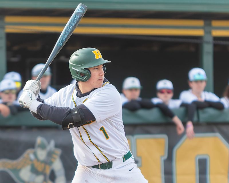 Howell's Daniel Hampton leads Livingston County in hitting through April.