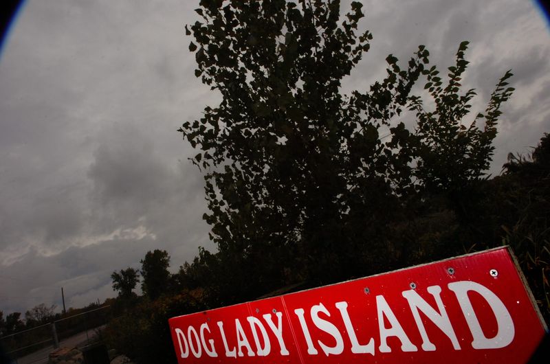 Dog Lady Island, a parcel of land in Monroe Township, is shown in 2006. Professor Daniel Compora's new paper discusses the island and two other Monroe County monster legends.