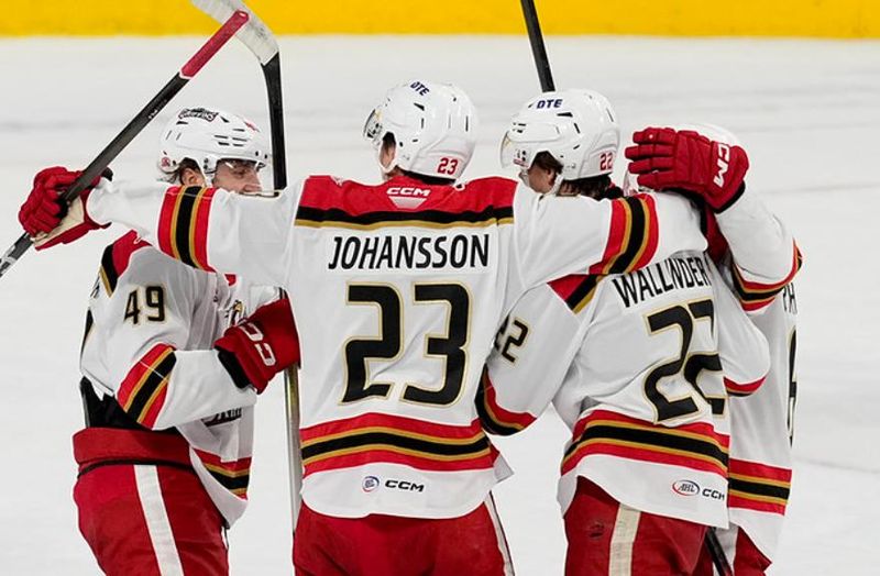 Grand Rapids' Wojciech Stachowiah, from left, Anton Johansson and William Wallinder celebrate a goal in Friday's 8-0 win in Milwaukee.