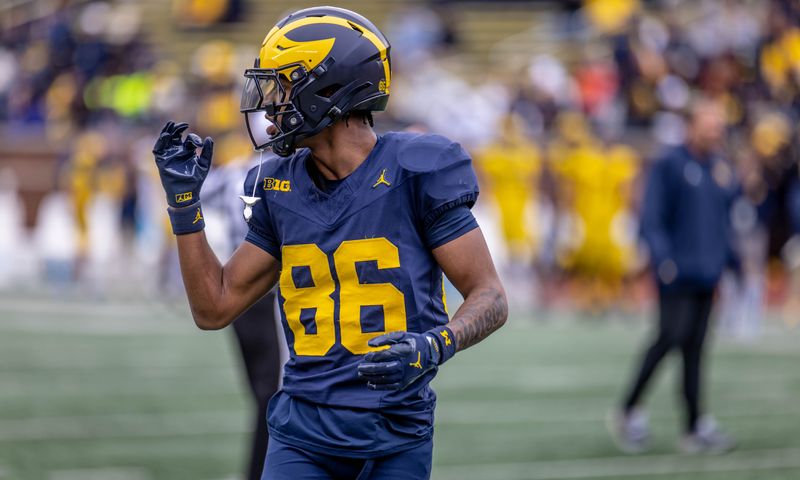 Michigan football WR Travis Johnson