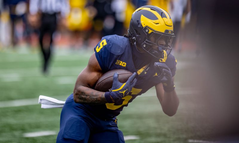 Michigan football running back Savion Hiter