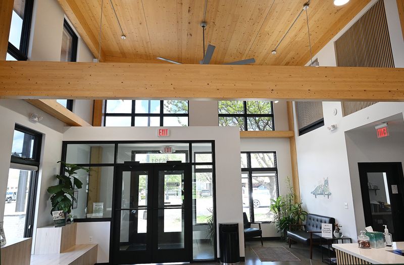 A view of the lobby inside Griffith Veterinary Hospital, showing the use of mass timber to construct the beams and ceiling on Thursday, April 30, 2026, in Westland, MI