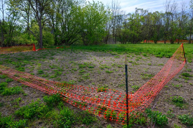 This is the site where a home demolition took place on Pennsylvania Street on the east side of Detroit. The "fill removal" needs to removed and replaced. Photo taken on Tuesday, May 5, 2026.