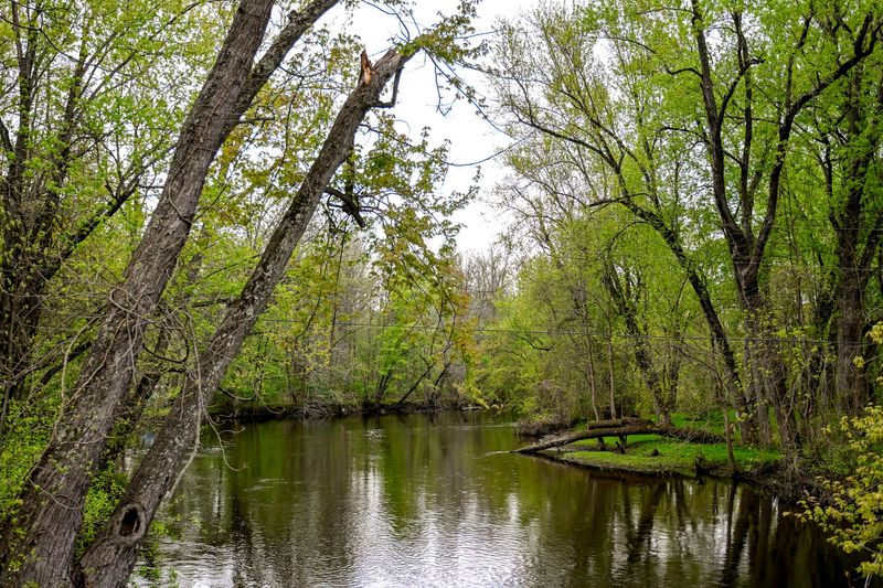 A view of the Grand River at Bunker Road Landing on Tuesday, May 5, 2026, in Eaton Rapids.