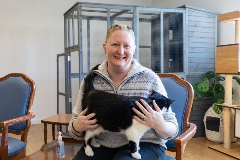 Wendee Hofbauer-Drees poses for a photo at Lazy Cat Lounge on Wednesday, May 6, in Olive Township.