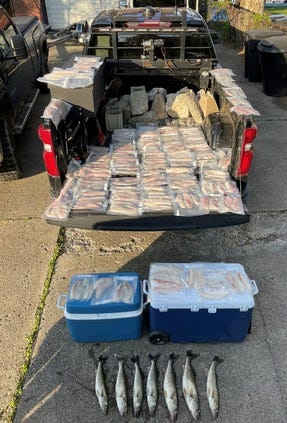 Michigan DNR conservation officers seized an overlimit of 34 walleye Friday, May 8 from a group of anglers who were renting a property in the city of Detroit for a fishing trip on the Detroit River.