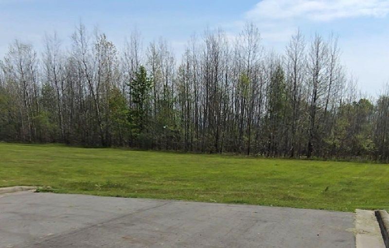 The 17 acres left undeveloped in the early 2000s now contains young growth scrub woods at the end of Tanner Run east of Willowbrook Road.