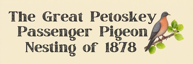 Petoskey is set to honor the extinct passenger pigeon with a week of free public events and the unveiling of a new monument. The commemorative week begins June 15.