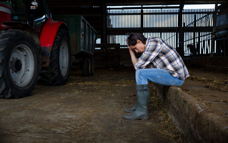 A farmer sitting with his head in his hands in a barn. He is worried about the stress of his job and business.