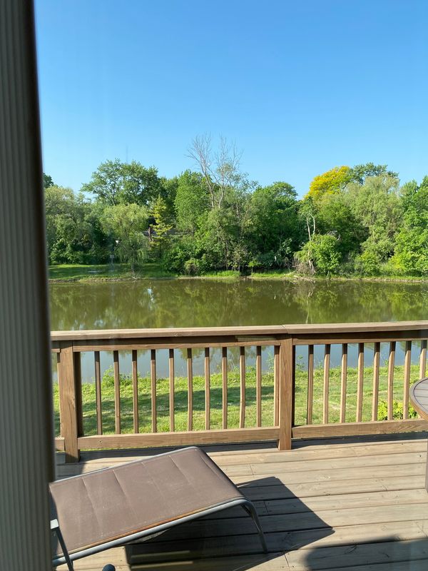 An old view from our deck that could use a little color.