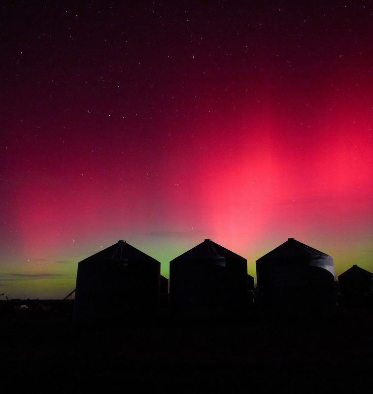 The Northern Lights - aurora borealis - light up the night sky east of Denver, Colorado, on Nov. 11, 2025.
