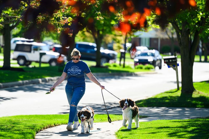 Audrey Hernden of New Baltimore, 50, walks her two dogs, Merle and Chauncey, in the subdivision she lives in on Thursday, May 14, 2026. New Baltimore's taxable value increased 8% in 2026.