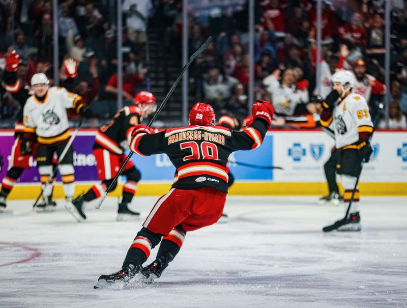Michael Brandsegg-Nygård celebrates during the Grand Rapids Griffins game against the Chicago Wolves at Van Andel Arena on May 16, 2026 in Grand Rapids, Mich.