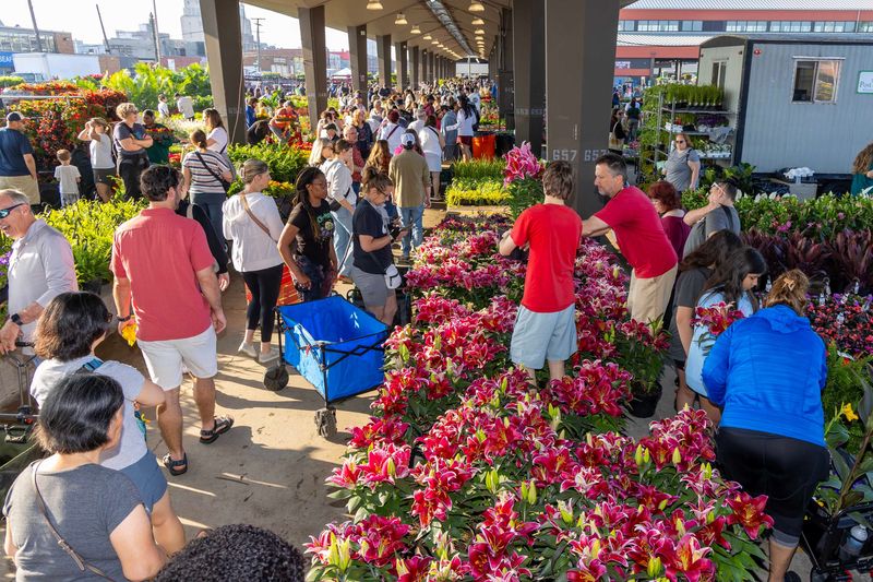Flower Day, sponsored by the the Metro Detroit Flower Growers Association, features vendors from throughout the Midwest.