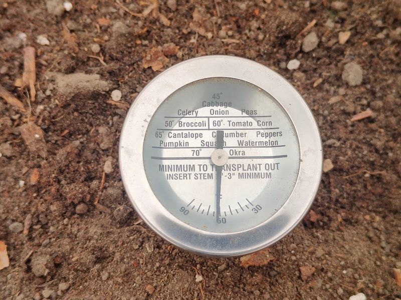 A soil thermometer is an essential part of every gardener's tool kit.