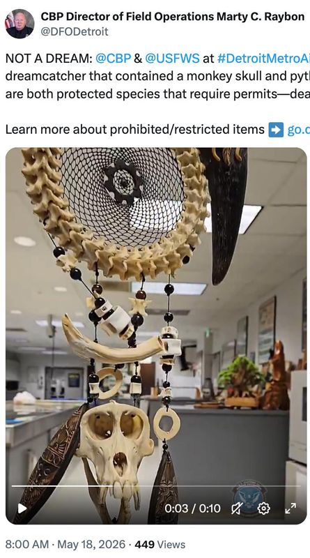 Customs and USFW officials at Detroit Metro Airport confiscated a dreamcatcher made with monkey and python bones.