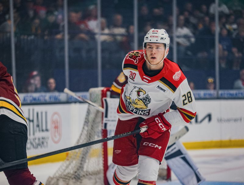 Michael Brandsegg-Nygård battles for the Grand Rapids Griffins against the Chicago Wolves on May 19, 2026 at Allstate Arena in Rosemont, Illinois.