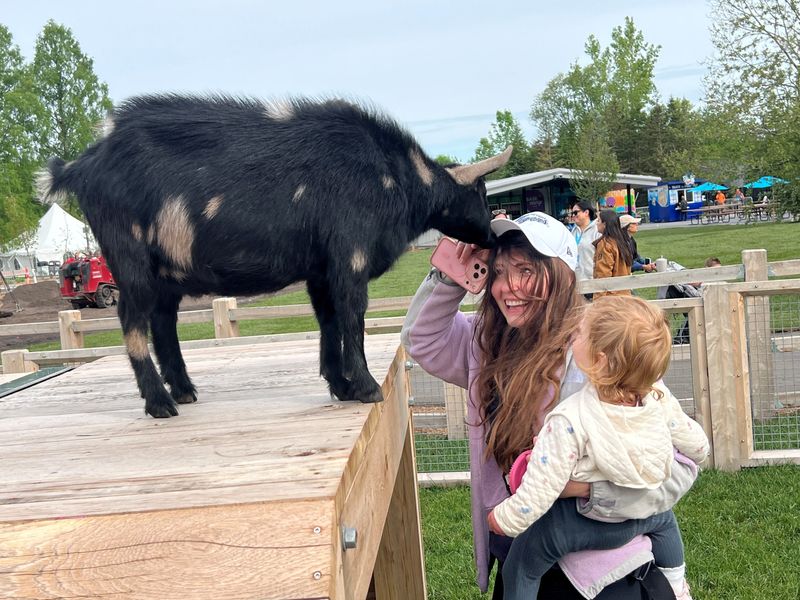 Sydney Kelly of Detroit holds daughter Skye, 1, while getting nibbled on by a goat at the newly opened Fred and Barbara Erb Discovery Trails at the Detroit Zoo on May 22, 2026.