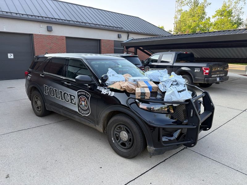 Grosse Ile police helped deliver Amazon packages after arresting a delivery driver on Wednesday, May 27, according to the Grosse Ile Police Department.