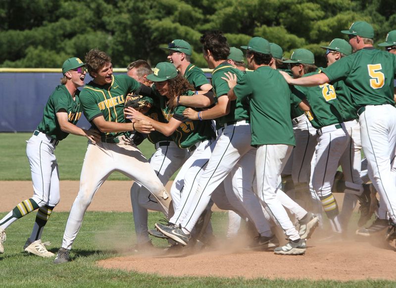 Howell players celebrate a 7-4 victory over Hartland in a district championship baseball game on Saturday, May 30, 2026 at Hartland.