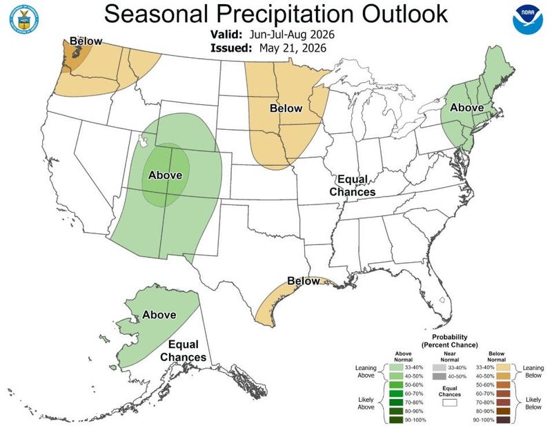 Forecast precipitation outlook for the U.S. from June through August.