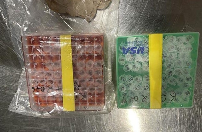 Pictured are vials researchers Vincent Munster and Claude Kwe allegedly lied to federal authorities about at Detroit Metropolitan Airport.
