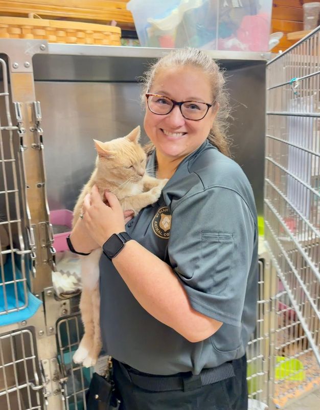 Melissa Miller, director of St. Clair County Animal Control, holds shelter cat Mia at the St. Clair County Animal Control office in Port Huron Township, on June 2, 2026.