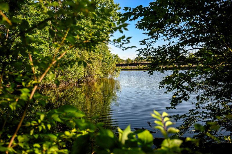 A view of the Grand River at Riverside Park on Tuesday, June 2, 2026, in Lansing.