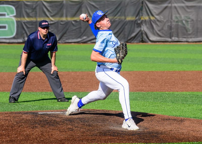 Novi Detroit Catholic Central's Landin Bonnell pitches during the Division 1 baseball regional semifinal on Wednesday, June 3, 2026, at Novi High School.
