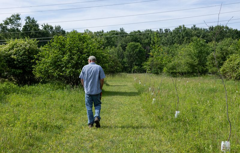 Steve Van Haitsma walks alongside a row of juneberry trees during a tour of Mud Lake Farm in Hudsonville on Thursday, June 4.