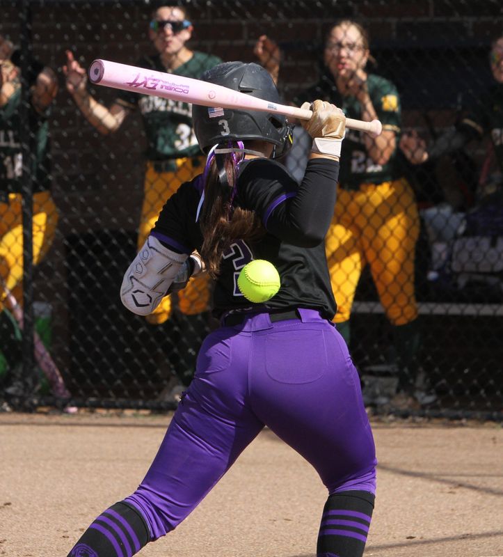 Kelsey Krick is hit by a pitch, leading to Lakeview's only run in a 5-1 loss to Howell in a Division 1 regional softball semifinal on Saturday, June 6, 2026 at Hartland High School.