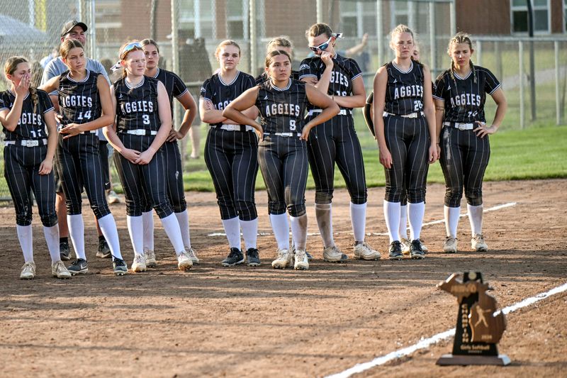 Dansville looks on after a loss to Summerfield in the D4 softball regional final on Saturday, June 6, 2026, at Dansville High School.