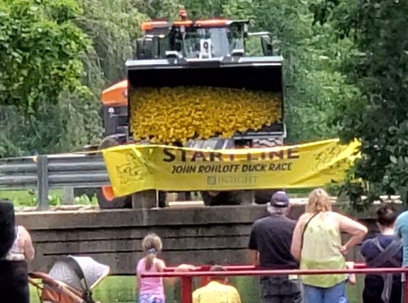 The 4,050 rubber ducks are launched from the Sprague Street bridge in the 33rd John Rohloff Duck Race down the Sauk River on Saturday, June 6 to raise money for Coldwater Noon Exchange Club community projects.
