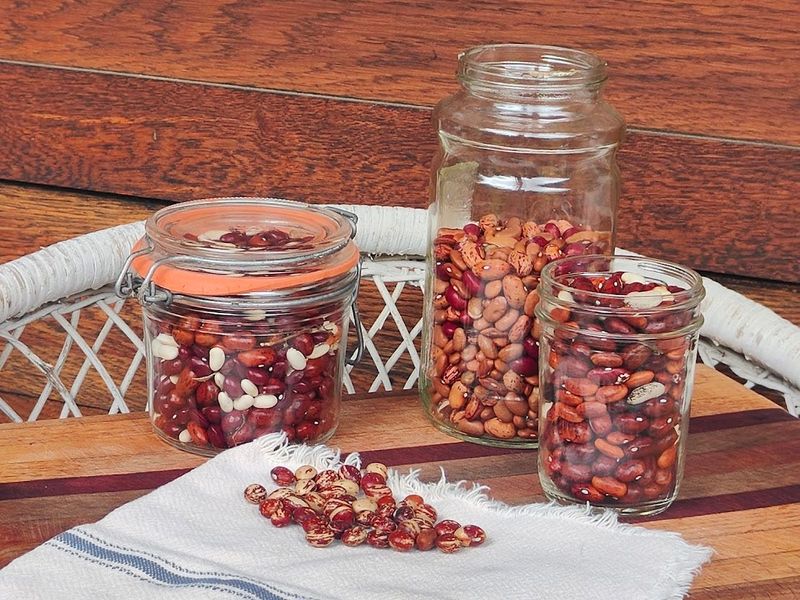 Always save some of your dry beans for seed. You'll never need to buy seeds again.