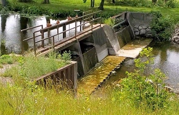 Rock berms and improvements may be required on the Coldwater Lake Dam by EGLE in the next five years expert testified at the hearing for the creation of an assessment direct for the Marble-Coldwater chain of lakes.
