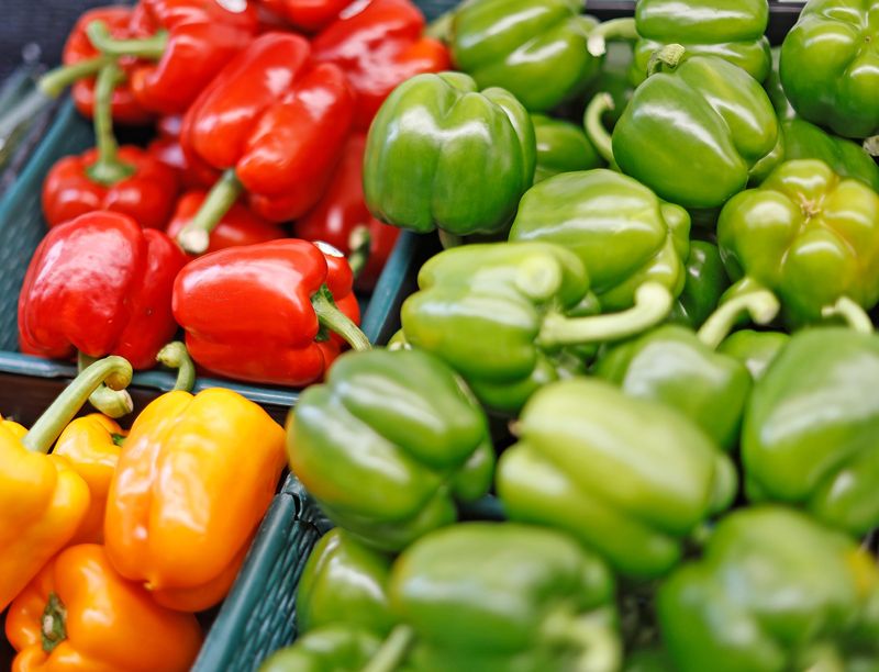 Bins of fresh peppers bring color to the produce department at The Brant Rock Market in Marshfield on Tuesday, April 21, 2026.