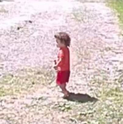The Holly Police Department is trying to identify and locate a toddler who appeared in a resident's Ring doorbell camera late Friday morning, walking by himself in the 500 block of Elm Street.