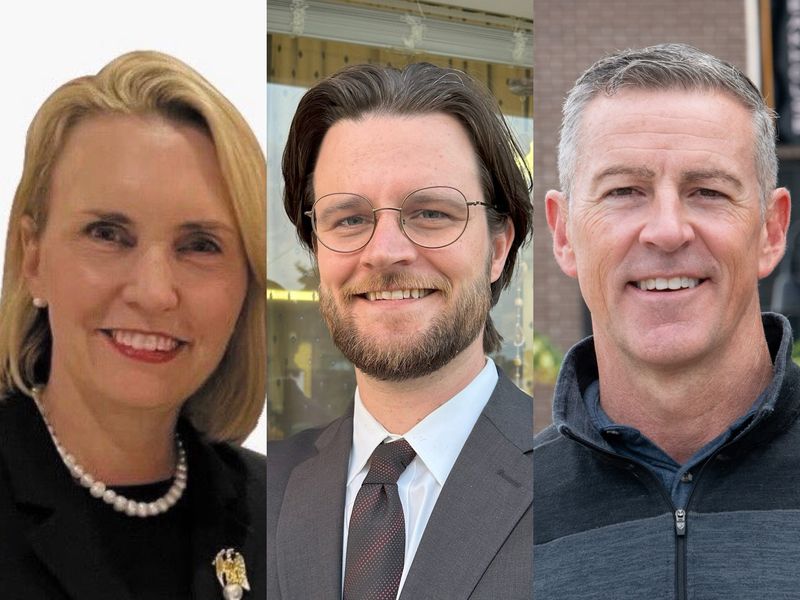 Three Democrats are competing in the primary for Michigan's 7th Congressional District. From right to left they are Bridget Brink, William Lawrence and Matt Maasdam.