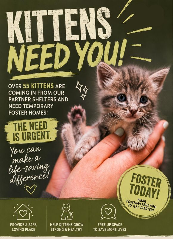 The Little Traverse Bay Humane Society is putting out a call to the community for emergency foster homes as partner shelters across Northern Michigan face an overwhelming influx of kittens. 