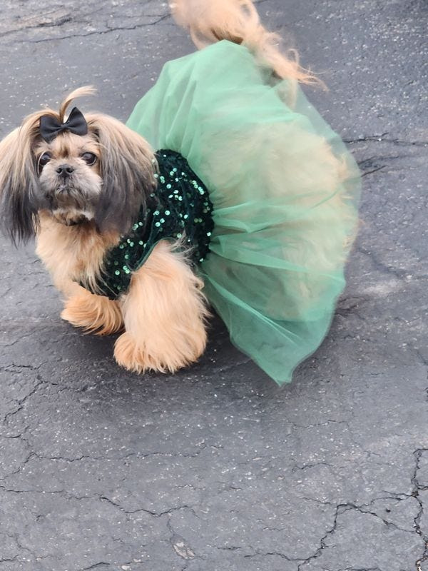 Tahiti loves to wear new fits and serve looks - and she's ready to make Monroe, Michigan, proud on the national stage!