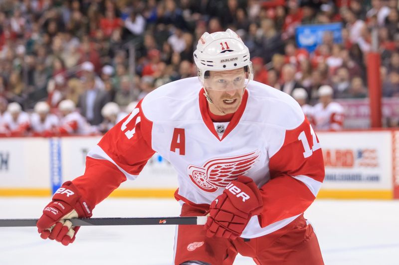 Red Wings right wing Daniel Alfredsson (11) skates after the puck against the Wild at Xcel Energy Center.