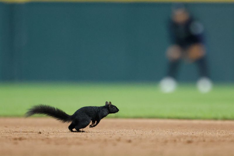 Squirrel runs on the field during the seventh inning of the game between the Detroit Tigers and the Baltimore Orioles at Comerica Park.