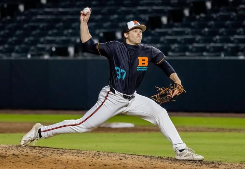 Hillsdale College's Zane Barnhart, acquired by the Tigers for catcher Jake Rogers, had 45 strikeouts in 40 innings with the Chesapeake Baysox, the Orioles' Double-A affiliate in Bowie, Maryand.