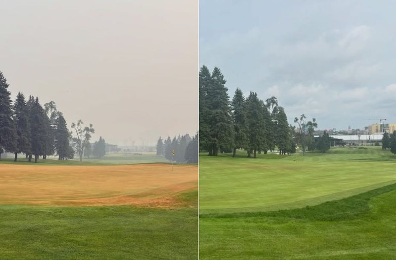 UM Golf Course showed off before and after pictures of its greens on Instagram, after vandals allegedly damaged them last month.